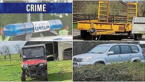 Gardaí on hunt for brazen criminals behind daring Longford farm raid