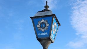Longford woman who pointed imitation gun at detective must undertake community service
