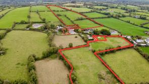 Longford auctioneer selling prime Midlands agricultural land at online auction