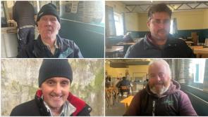 Farmers are kind of a dying breed': Voters at Granard mart give their views on General Election 2024