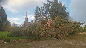 Hundreds in Longford without power after Storm Darragh
