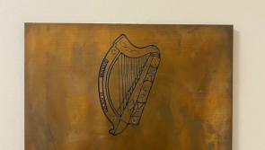 Longford man given opportunity to avoid conviction