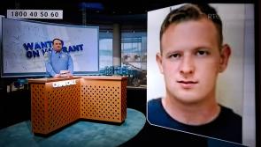 ALERT | Gardaí issue TV appeal for wanted Midlands man