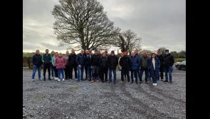 Longford residents raise concerns over health and visual impact of planned solar farm
