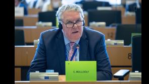 Longford MEP Ciaran Mullooly insists opposition to Mercosur must be a red line issue in Government formation talks