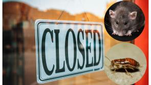Decomposed rat carcass and live cockroaches found on walls as several food businesses ordered to close across Ireland