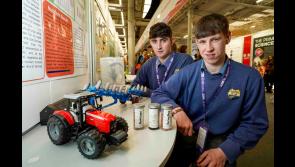 Longford students win award at 61st&nbsp;BT Young Scientist & Technology Exhibition