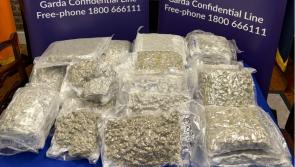 Man arrested and €400k of 'vacuum-sealed bags' of cannabis seized as gardaí raid house