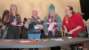 Longford Lights Seminar sees over 80 artists and local community group  representatives in attendance