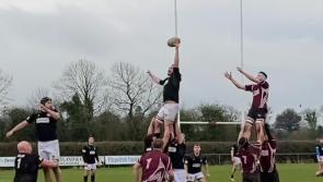 Rugby: Longford run in six tries as they continue Leinster League winning streak away to Roscrea RFC
