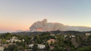 Longford man living in Los Angeles recounts 'harrowing' devastation of Palisades wildfires