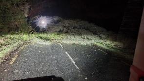 Longford County Council crews begin massive Storm Éowyn clean up: Road closures, fallen trees, impassable roads and loose electrical wires
