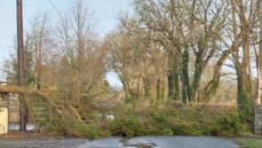 UPDATE: Most Longford regional roads passable as  council crews continue massive Storm Éowyn clean up 