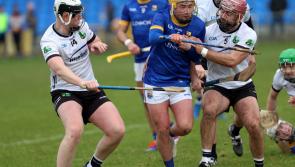 Longford hurlers make fine winning start against Warwickshire 
