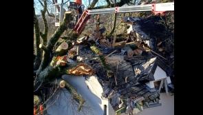 'Massively lucky to be alive'- 48-tonne tree crashes into home as couple narrowly escapes 