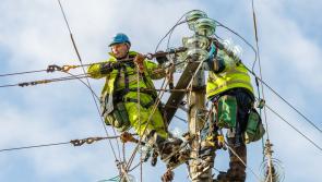 The wait goes on: Eleven days since Storm Éowyn struck 600 Longford customers are still without power 