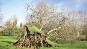 Who would have thought that in 2025 households in Longford would be without power for almost two weeks? 