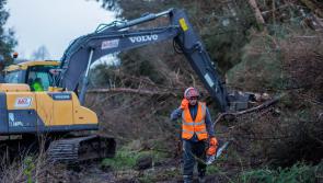Frustration as over 400 Longford customers are still without power twelve days since Storm Éowyn 