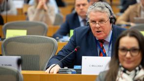 Longford MEP calls for greater support for community groups