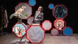 Grey Matter, a new school show is coming to Longford's Backstage