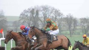 Longford Harriers Point to Point racing in historic venue on Sunday