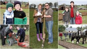 Down Memory Lane | Super photos from the last time Ballymahon hosted Longford Ploughing Championships