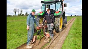 Trade stands at Longford Ploughing Championships will feature  innovative machinery, craft, food and pets 