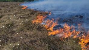Large bog fire in county Longford