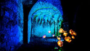 Applications open for second round of Fáilte Ireland Festival and events fund in Longford