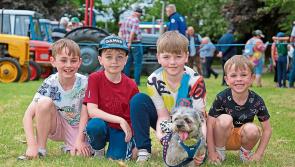 Large crowds expected at eagerly anticipated 20th anniversary Longford Vintage Club Show 