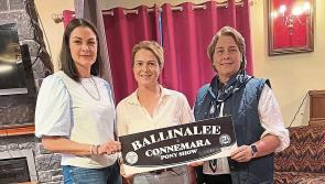 Large crowd expected in Longford for 43rd annual Ballinalee Connemara Pony Show 