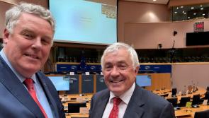 Longford MEP Ciaran Mullooly demands 'emergency legislation to break planning gridlock'