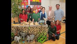 Over 500 Longford pupils showcase groundbreaking STEAM projects at Microsoft Dream Space event 