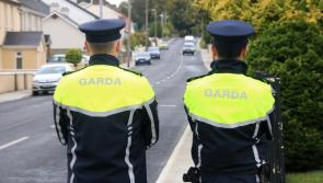 Midlands Garda forced to relive 'painful detail' of double eye socket fracture attack