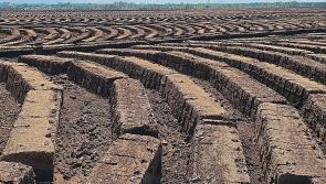 For peat's sake! Illegal milling and extraction rife at four county Longford locations