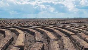 Crackdown on illegal peat extraction operators in Longford is 'resource intensive'