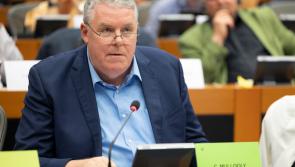 'No upside for Ireland' Longford MEP Mullooly critical of US-EU tariff agreement 
