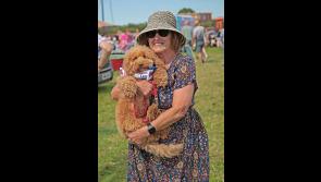 Longford dog needs your support to win &lsquo;cuddliest competition in Ireland&rsquo;