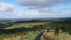 Invitation to Longford citizens to join Women's Aid walk for awareness
