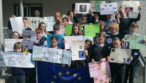 Time for Longford primary teachers to Register for the Blue Star Programme