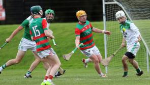 Longford SHC: Wolfe Tones through to the county final with easy win over Clonguish Gaels

