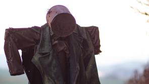 Longford calls for Samhain scarecrow designs for Halloween event