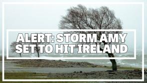 LIVE: Four Longford ladies and GAA finals POSTPONED due to Storm Amy 