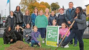 Longford Timber Firm help to connect  learning with real-world forestry