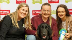 Longford dog named the Ulster and North Leinster provincial winner in contest
