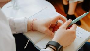 Mental health reform criticism by Longford-Westmeath TD over Budget 2026