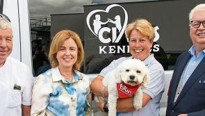 Longford charity Cian's Kennels features  in &lsquo;Good Causes&rsquo; series