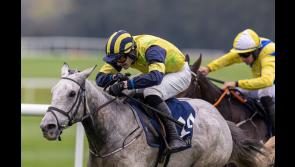Longford horse trainer Paul Flynn lands a fantastic double at Punchestown
