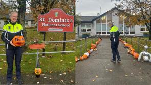 Longford's Garda Morag on pumpkin patrol  