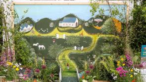 Longford community groups invited to design a postcard garden at Bord Bia Bloom